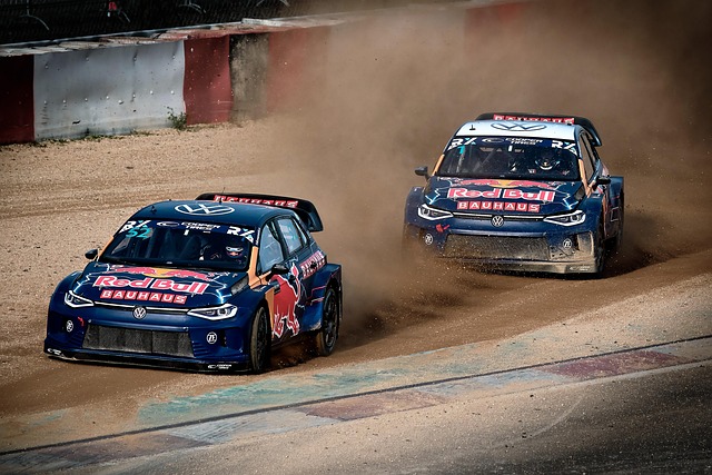 为亚冬会主 为亚冬会主